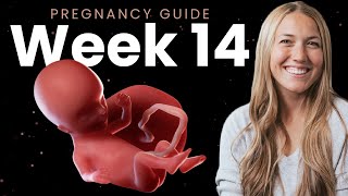 14 Weeks Pregnant  Week By Week Pregnancy [upl. by Aicirtan391]