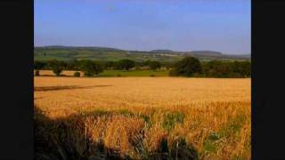 Cuttin the Corn in Creeslough  Bridie Gallagher [upl. by Jennie6]