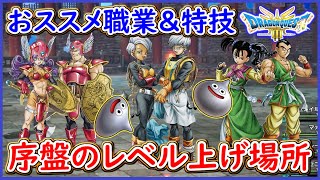 DQ3 HD2D版 これでOK！序盤のレベル上げ解説！おススメパーティ紹介と優秀な特技紹介！序盤の流れも紹介！ドラクエ3リメイク 攻略【メイルス】 [upl. by Hgiellek]