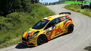 51° Rally Elba 2018 Show Crash and Mistake [upl. by Adnahcir221]