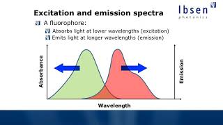 Fluorescence Spectroscopy Tutorial  Basics of Fluorescence [upl. by Thenna]