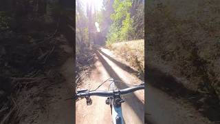 3 miles of downhill flowy goodness at JNT mtb mountainbike mountainbiking aribikes [upl. by Lesirg]