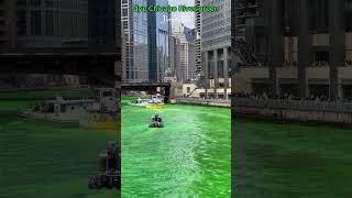 shorts dye Chicago River green 2024 [upl. by Earlene458]