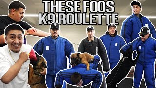 FOOS GET BIT BY K9 ATTACK DOGS [upl. by Yelhak]