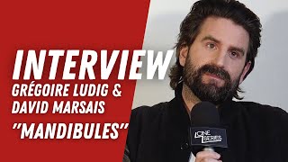 Grégoire Ludig et David Marsais Palmashow nous parlent de MANDIBULES la comédie de Quentin Dupieux [upl. by Mayes862]