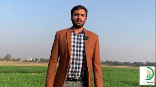 Message by Abdul Arham SH Seed Company Faisalabad [upl. by Pelagia]