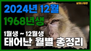 1968년생 12월 원숭이띠 중요한 변화의 달 놓치면 후회할 운세 원숭이띠12월운세 68년생12월운세 68년12월운세 [upl. by Alecia]