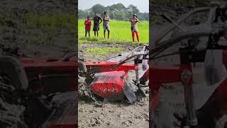 Kubota K15 SP155 Power Tiller Operating in a Muddy Paddy Field in Sri Lanka kubota shorts [upl. by Yeslaehc]