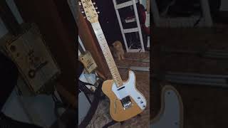 Cozart 12 string telecaster deluxe [upl. by Aicercul292]