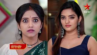 NagaPanchami  Promo  29th Nov 2023  Star Maa Serials  Mon Sat at 8 pm  Star Maa [upl. by Klement]