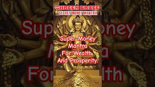 quotDiscover the Secret Money Mantra SHREEM BRZEE for Instant Wealth and Prosperityquot manifestation [upl. by Dugaid]