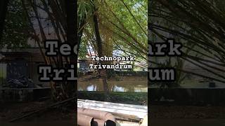 Technopark Trivandrum water level rose due to heavy rain kazhakkoottam technopark kerala water [upl. by Ahsiaa]