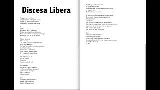 DISCESA LIBERA Poesia di Daniele Verzetti Rockpoeta® [upl. by Nolyat635]