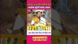 अशोक सुंदरी वाला उपाय pradeep mishra ji shorts [upl. by Sone]