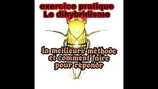 exercice sur le dihybridisme la meilleure méthode à suivre pour résoudre les problèmes [upl. by Ailb]