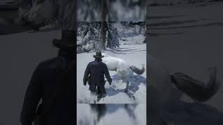 Horse Taming Gone Wrong reddeadredemption2 horse shorts [upl. by Alaaj]