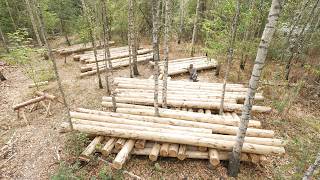 building off grid log cabin  preparing timber logs for new big home [upl. by Bysshe883]