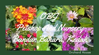 OBJ Petshop And Nursery Bandar Baharu Kedah  Recommendation by Orchard House [upl. by Ganley709]