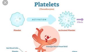 Platelets Properties and Functions Thrombocytopenia amp Thrombocytosis [upl. by Narot]