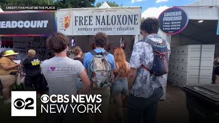 Nonprofit distributes naloxone at Gov Ball in Queens [upl. by Solrak]