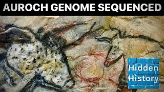 Ancient Mesolithic auroch DNA sequenced [upl. by Langbehn957]