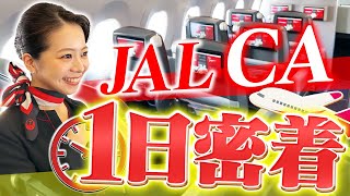 JALのCAに1日密着！普段は見られない裏側が明らかに… [upl. by Raff619]