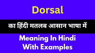 Dorsal meaning in HindiDorsal का अर्थ या मतलब क्या होता है [upl. by Koenraad]