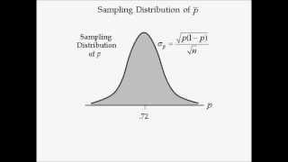 Business Statistics lecture 7  Sampling Distribution [upl. by Kirkwood]