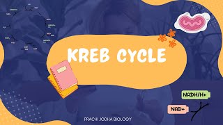 KREB CYCLE  CITRIC ACID CYCLE  TCA CYCLE  Respiration in Plants neet2025 neet neetbiology [upl. by Stephani504]