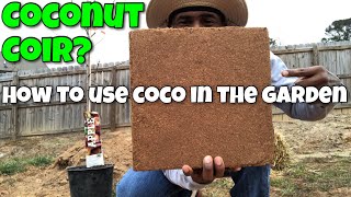 COCONUT COIR HOW TO USE COCO COIR IN YOUR GARDEN  HOW TO MAKE YOUR OWN GARDEN SOIL [upl. by Idnir416]