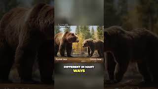 Grizzly vs Kodiak Bears The Ultimate Clash of Behavior and Habitat [upl. by Atse149]