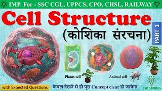 Cell structure human cell । कोशिका संरचना। animal cell amp plant cell class 891011mp4 [upl. by Fem467]