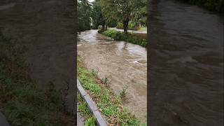 Hochwasser Lage aktuell angespannt Dauerregen Regen Starkregen Unwetter Überschwemmung jetzt Wien NÖ [upl. by Burnaby]