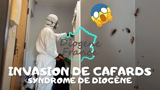 Diogène France  UN APPARTEMENT INFESTÉ DE CAFARDS  😱 extrême [upl. by Ullund]