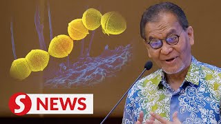 Msia to seek WHO input on Japan flesheating bacteria outbreak says Dzulkefly [upl. by Eatton73]