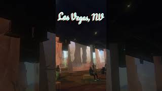 Immersive Disney Experience Las Vegas Nevada  Lion King  Part of the Pride [upl. by Dwan]