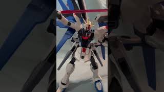 Freedom Gundam ZGMFX10A gundam toyreview [upl. by Pollitt]