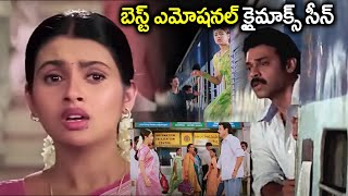 Latest Best emotional Climax Scene  Telugu Heart Touching Movie Scenes  Venkatesh  kalyani [upl. by Enyrehtac]