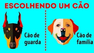 Como Escolher a Raça de Cachorro Perfeita para Você [upl. by Obel]