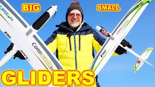 My favorite Gliders amp Sail Planes for RC Beginner Pilots [upl. by Hollyanne]