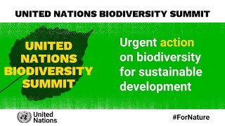 UN Summit on Biodiversity  30 September 2020 [upl. by Earl417]