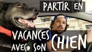 PARTIR EN VACANCES AVEC SON CHIEN  TOOPET [upl. by Surovy]