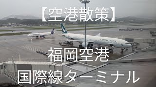 【空港散策】福岡空港国際線ターミナル [upl. by Anipsed]