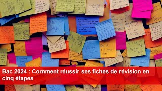 Bac 2024  Comment réussir ses fiches de révision en cinq étapes [upl. by Brok888]