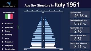 Italy  Changing of Population Pyramid amp Demographics 19502100 [upl. by Waechter]