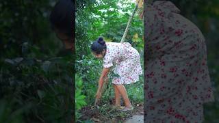 Homemade Crispy Fried Cassava Chips 🥔 From Garden to Plate මඤ්ඤොක්කා බයිට් shorts [upl. by Leigh]