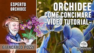 Come si concimano le orchidee Tutorial con Giancarlo Pozzi [upl. by Hephzipah]