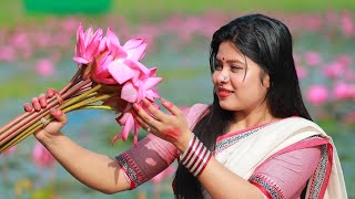 পদ্মশাপলা বিল রিসোর্ট সম্পর্কে full Information [upl. by Ennayelsel]