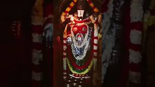 OM NAMO NARAYANAYA CHANTING  POPULAR CHANTINGS  BHAKTHI SONGS [upl. by Dody383]