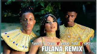 Danny amp Temg ✘ Angel Dior ✘ haslymusic  Fulana Remix Audio Oficial [upl. by Atilahs]